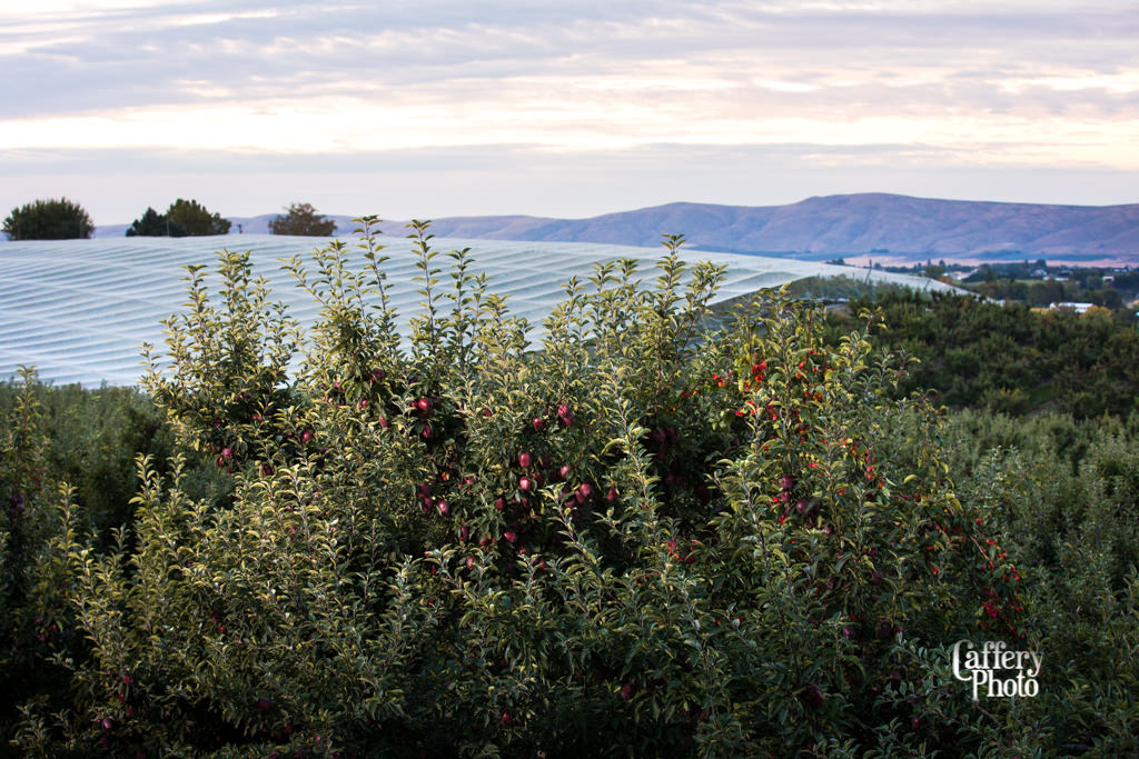 Contact Stambaugh Law Yakima